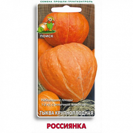 Тыква крупноплодная Россиянка фото Тыква крупноплодная Россиянка 