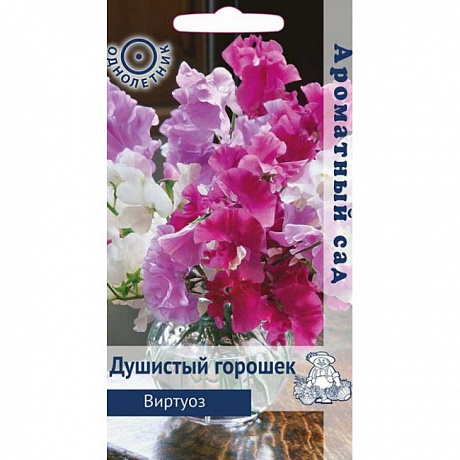 Душистый горошек Виртуоз фото Душистый горошек Виртуоз 