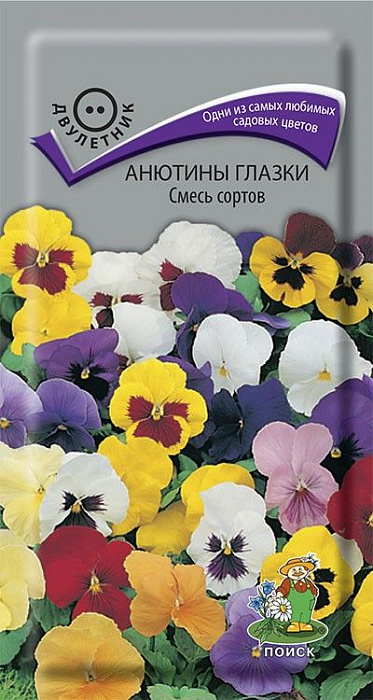 Анютины глазки Смесь сортов фото Анютины глазки Смесь сортов 